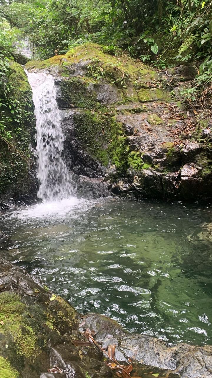 Queda d'água cristalina em poço natural verde
