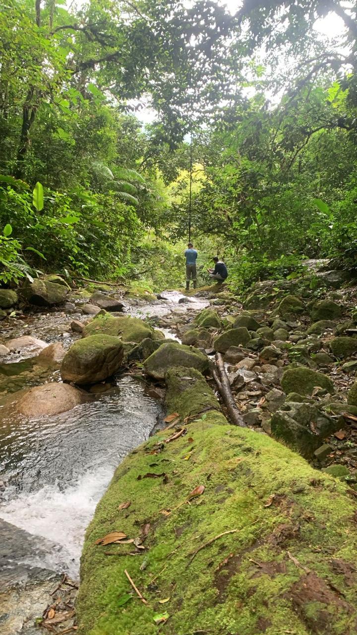 Rio São João — riacho com rochas e musgo