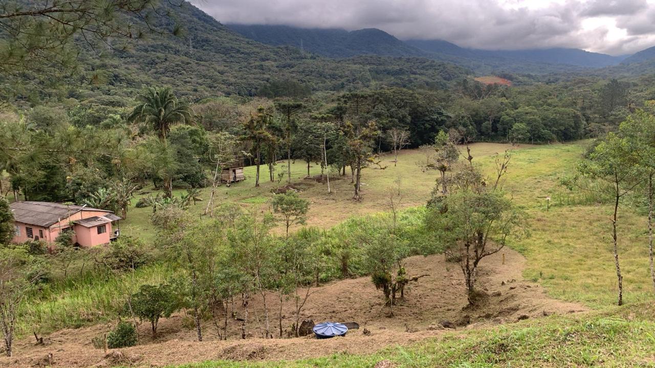 Casa cercada por árvores e campo